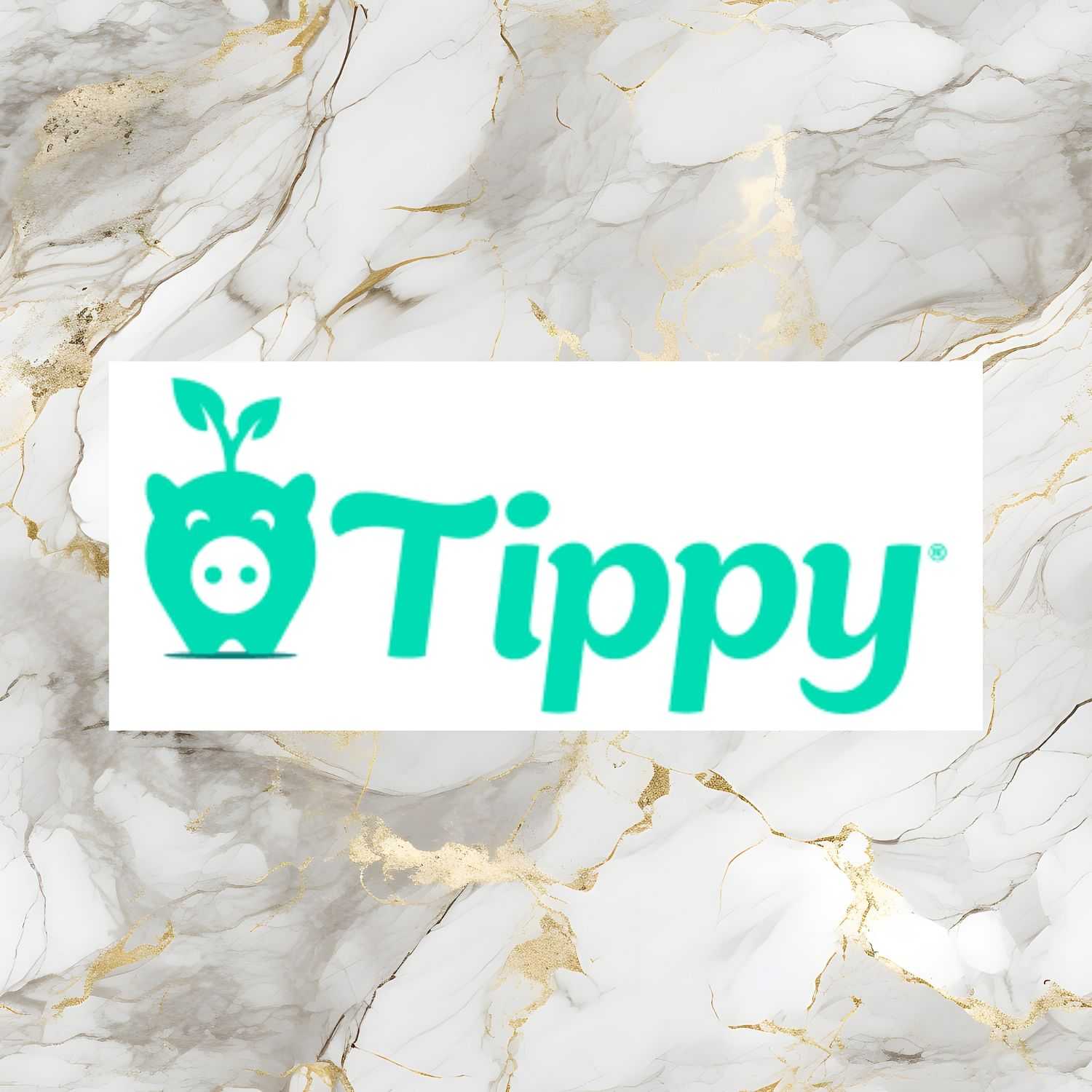 Logo of "Tippy" with a piggy bank and plant design on a marble background.